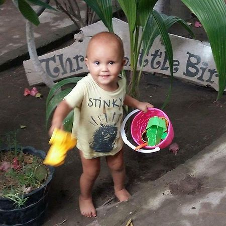 Three Little Birds Homestay Gili Trawangan Eksteriør billede