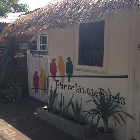 Three Little Birds Homestay Gili Trawangan Eksteriør billede