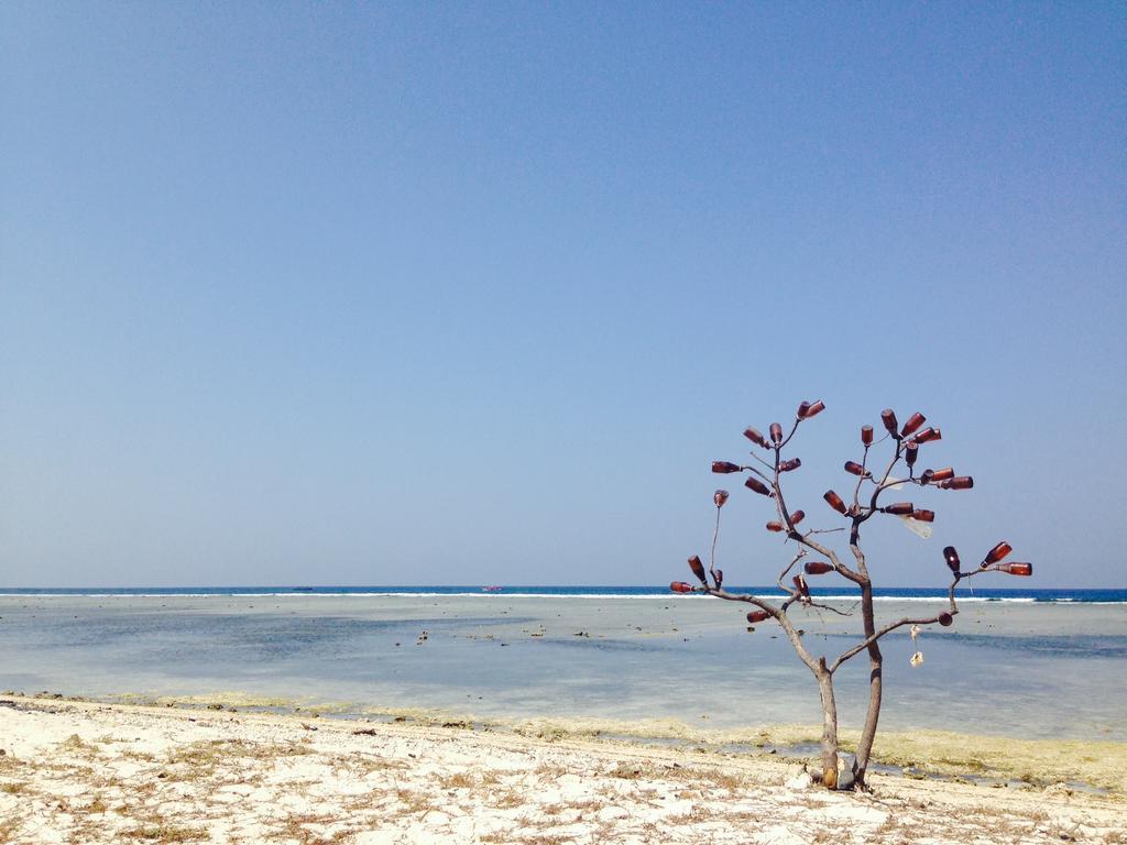 Three Little Birds Homestay Gili Trawangan Eksteriør billede