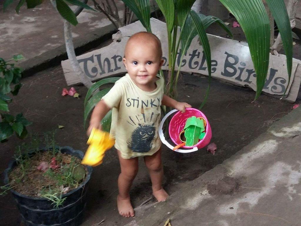 Three Little Birds Homestay Gili Trawangan Eksteriør billede
