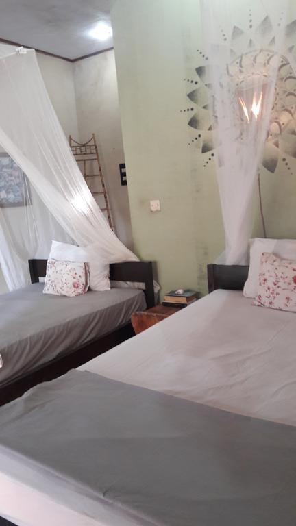 Three Little Birds Homestay Gili Trawangan Eksteriør billede
